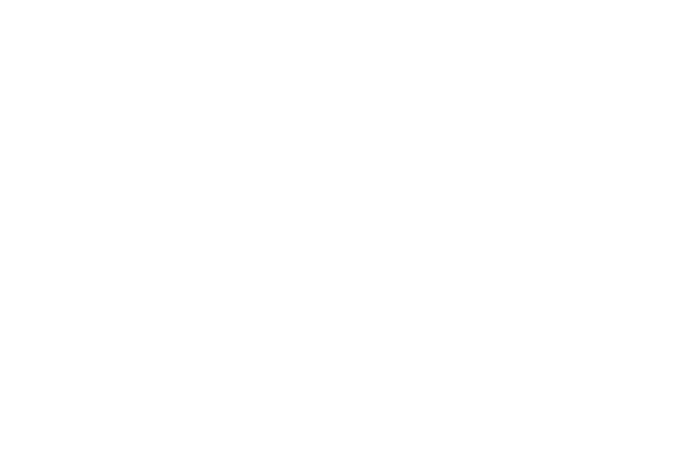 合作夥伴